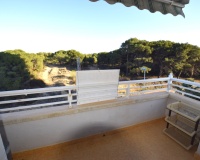 Venta - Apartment - Guardamar del Segura - Guardamar del Segura Centro