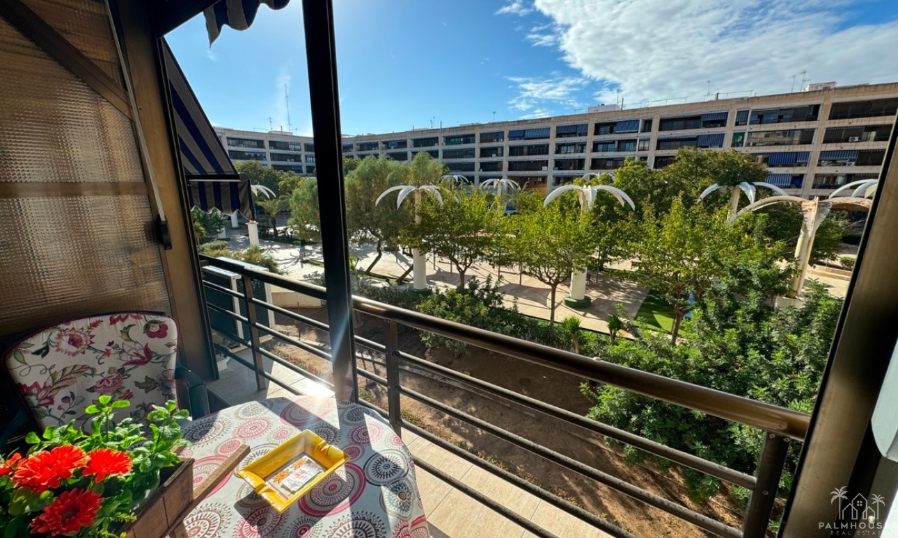 Venta - Apartment - Guardamar del Segura - Guardamar del Segura Centro