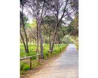 Venta - Apartment - Guardamar del Segura - Puerto Deportivo