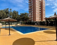 Venta - Apartment - Guardamar del Segura - Puerto