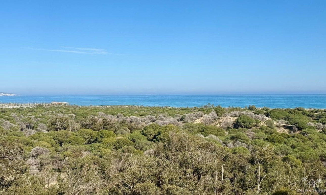 Venta - Apartment - Guardamar del Segura - Puerto