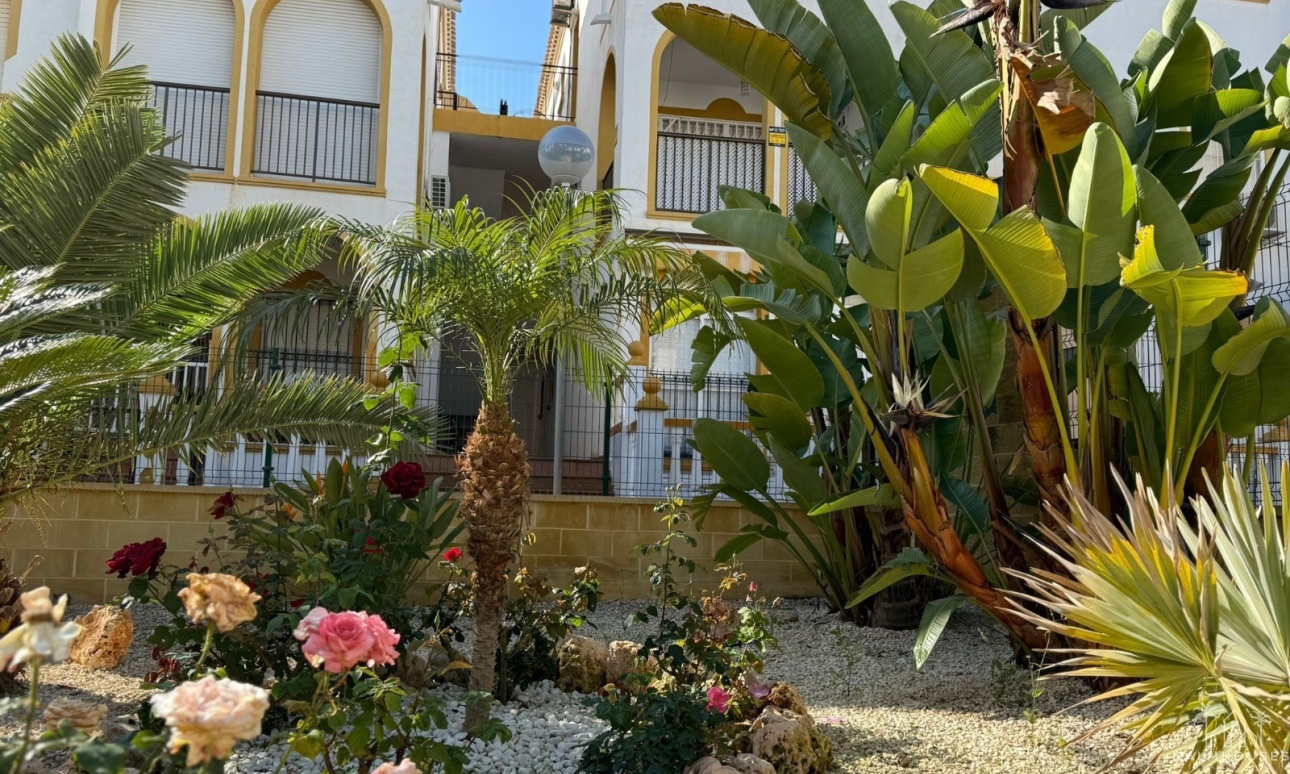 Venta - Apartment - La Mata - Cañada del Molino