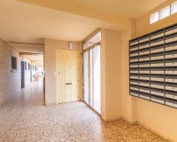 Venta - Apartment - La Mata - Playa la Mata