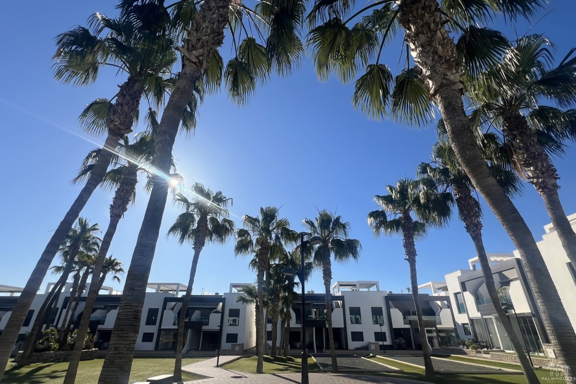 Venta - Apartment - La Zenia - Costa Blanca