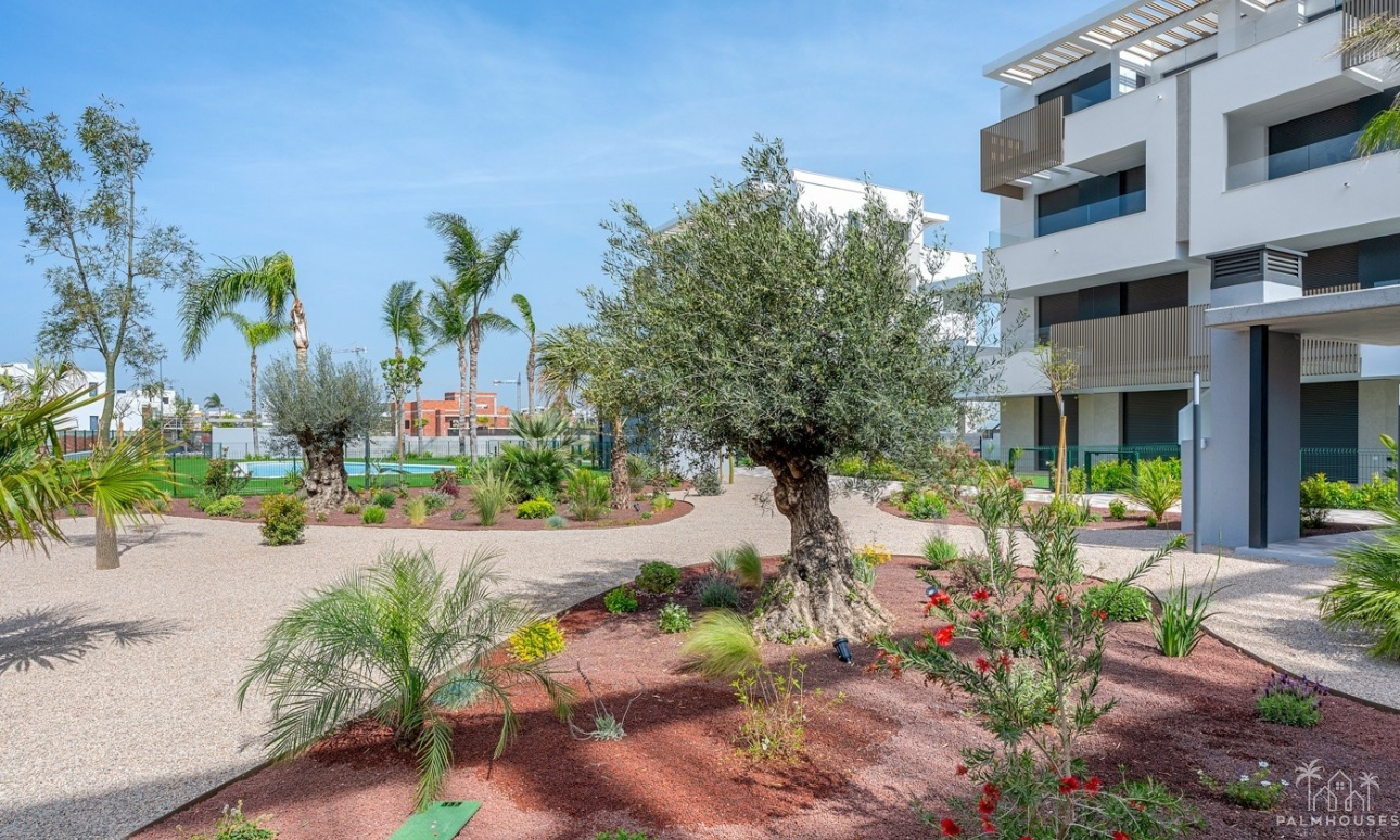 Venta - Apartment - Los Alcazares - Santa Rosalía