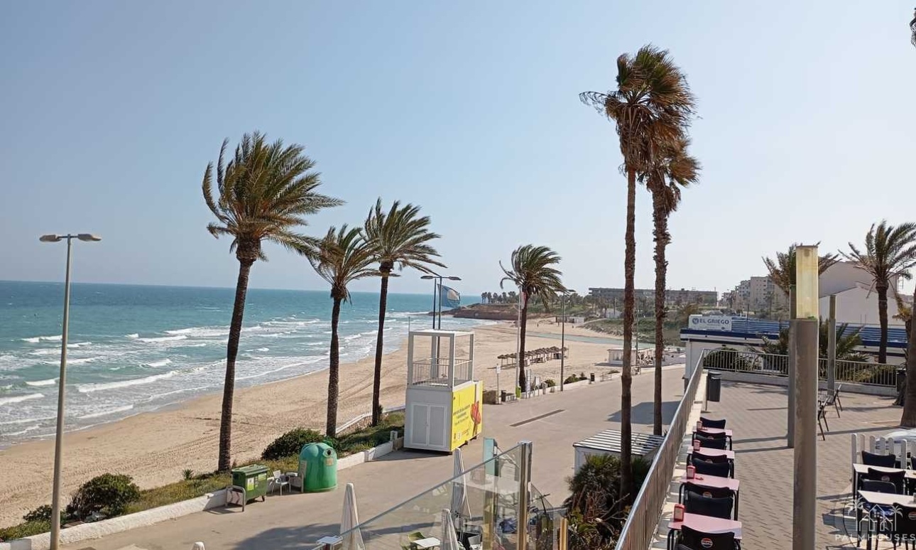 Venta - Apartment - Mil Palmeras - Costa Blanca