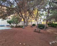 Venta - Apartment - Orihuela Costa - Campoamor