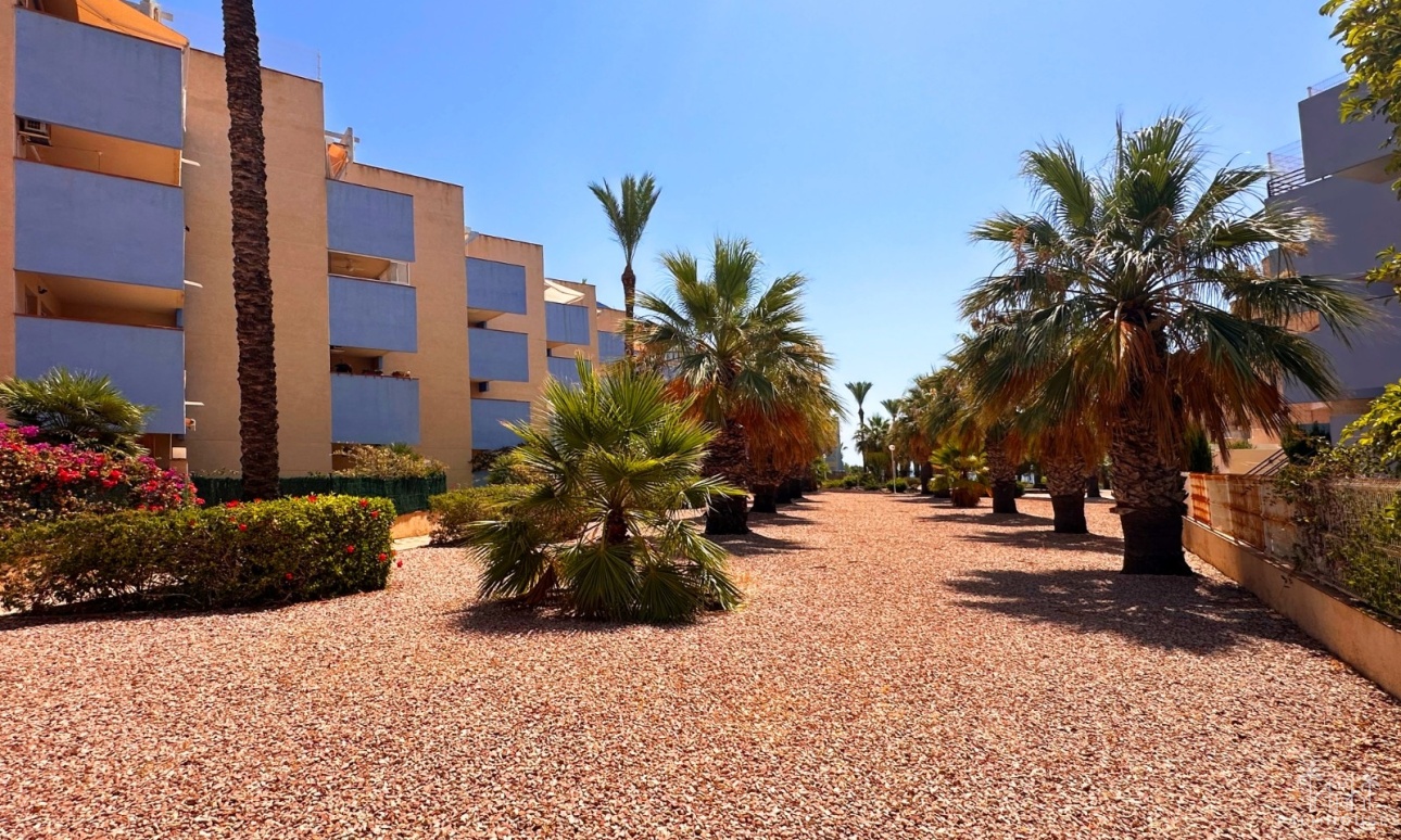 Venta - Apartment - Orihuela Costa - Costa Blanca