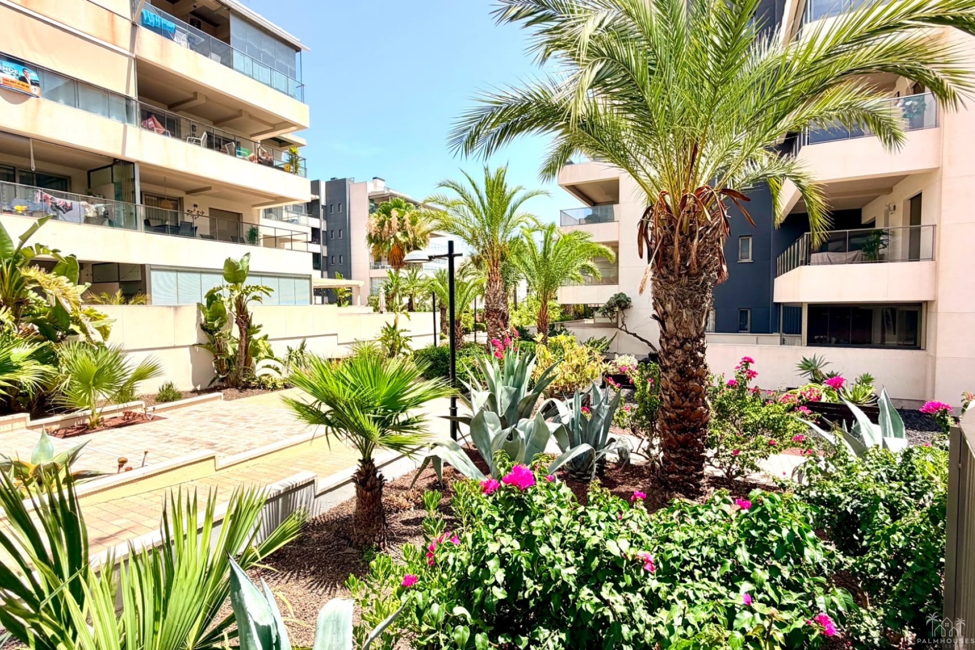 Venta - Apartment - Orihuela Costa - La Zenia