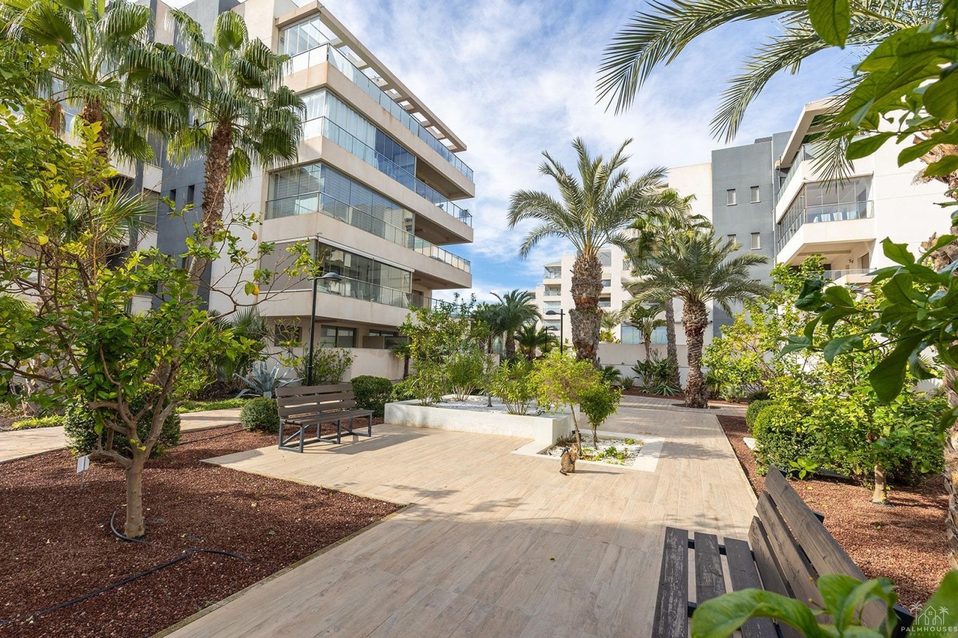 Venta - Apartment - Orihuela Costa - Los Dolses