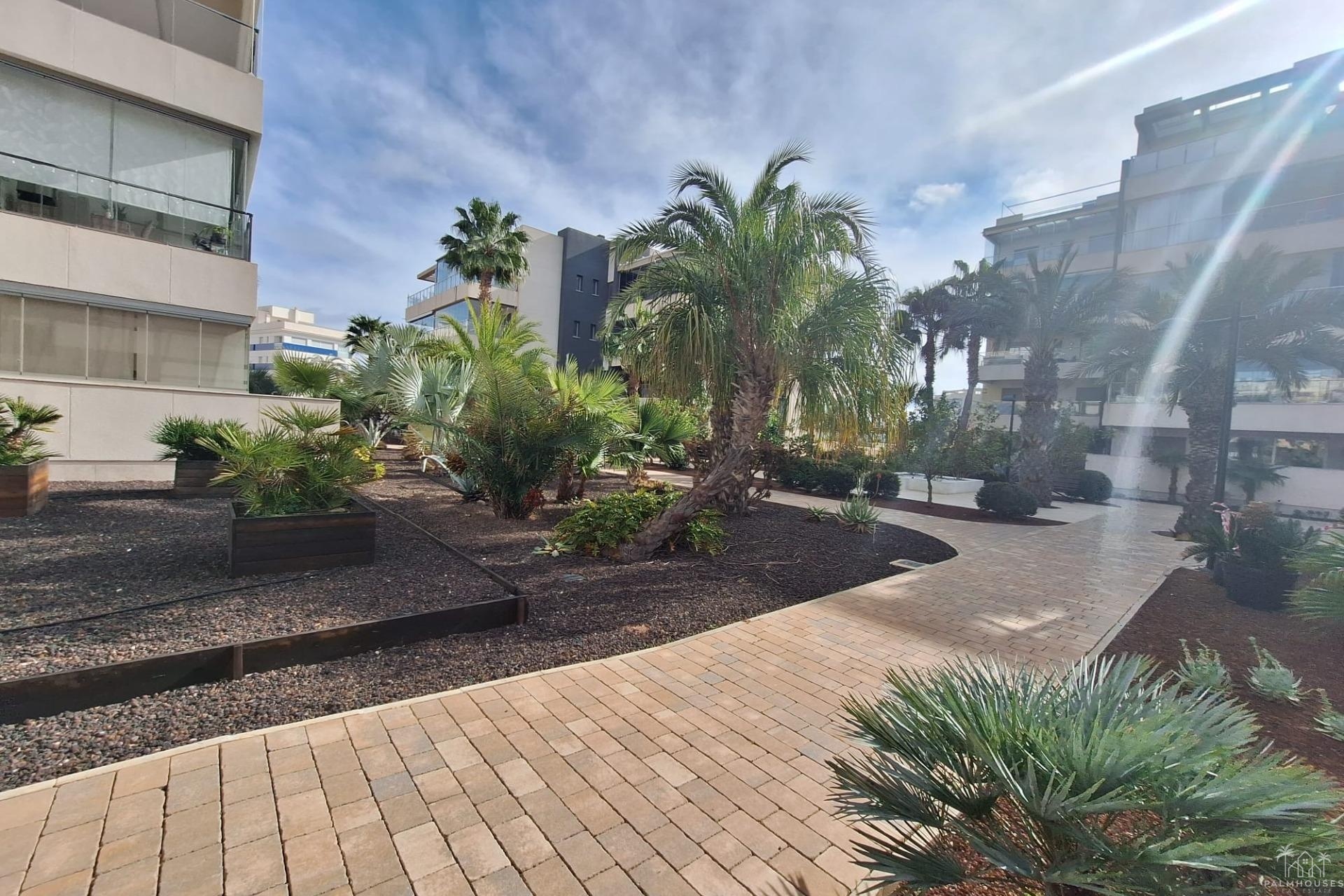 Venta - Apartment - Orihuela Costa - Los Dolses