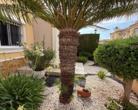Venta - Apartment - Orihuela Costa - Los Dolses