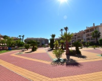 Venta - Apartment - Orihuela Costa - Playa Flamenca
