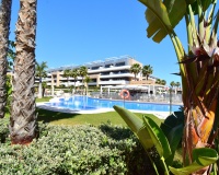 Venta - Apartment - Orihuela Costa - Playa Flamenca