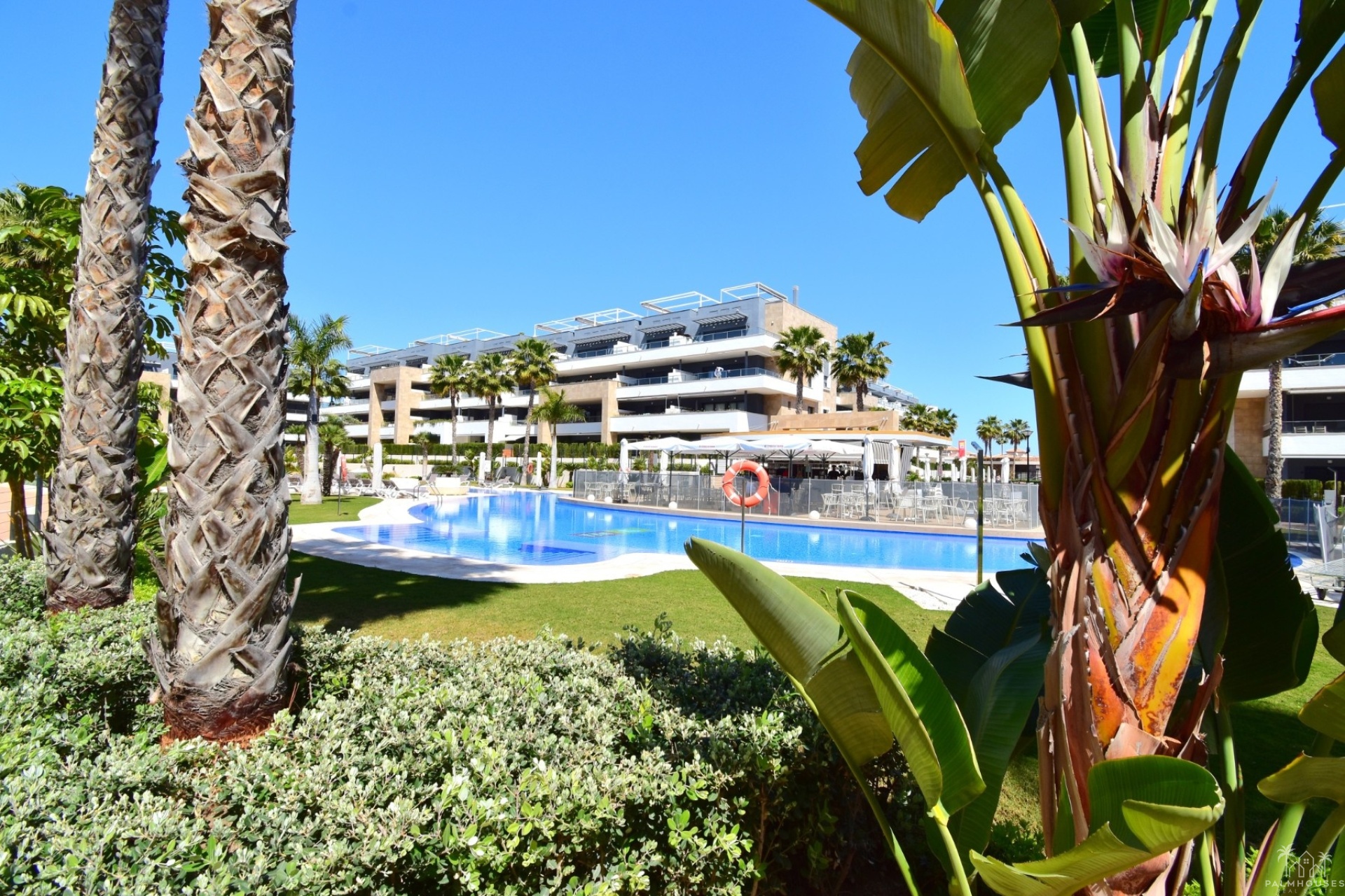Venta - Apartment - Orihuela Costa - Playa Flamenca