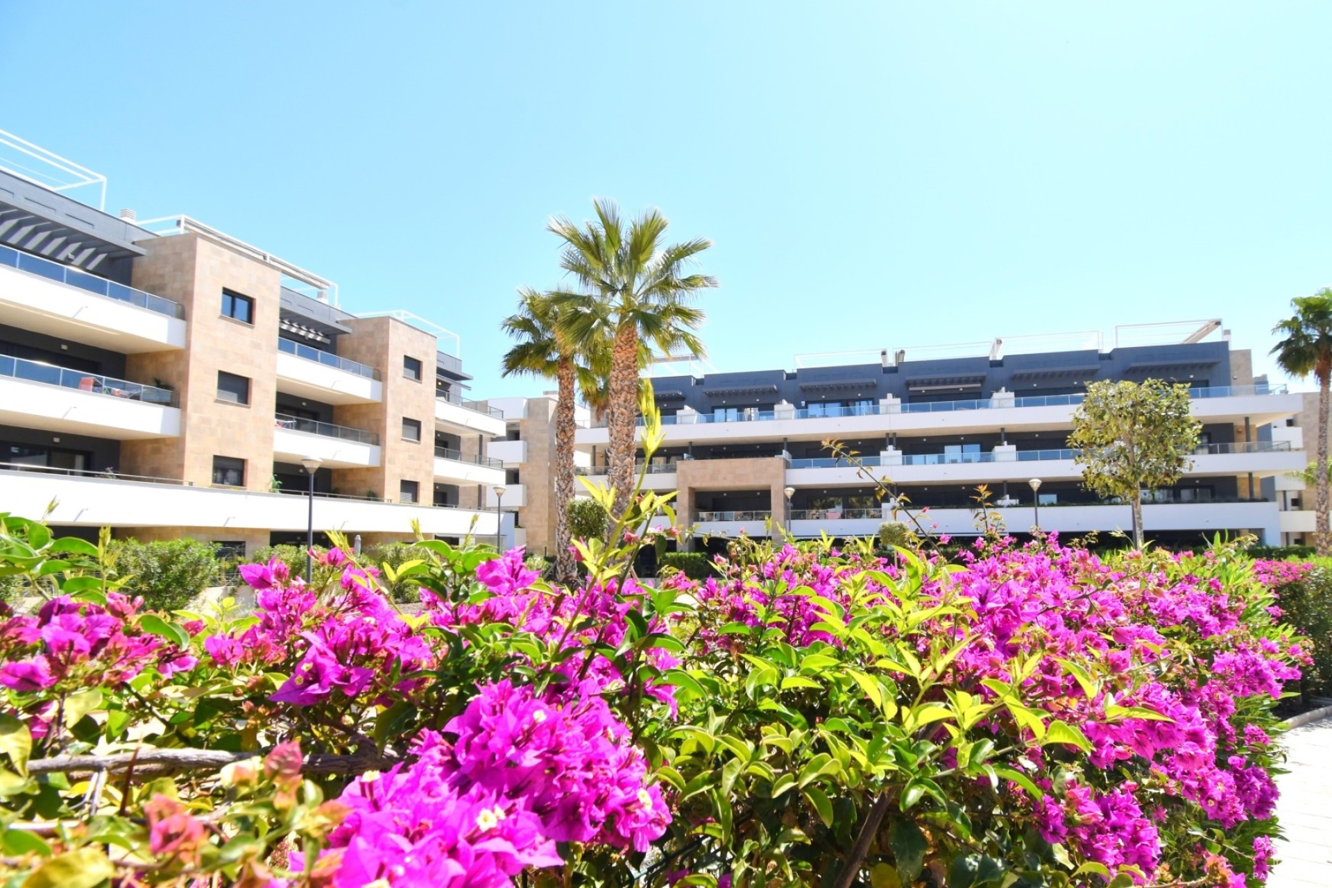 Venta - Apartment - Orihuela Costa - Playa Flamenca