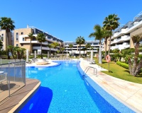 Venta - Apartment - Orihuela Costa - Playa Flamenca