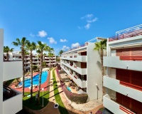 Venta - Apartment - Orihuela Costa - Punta Prima