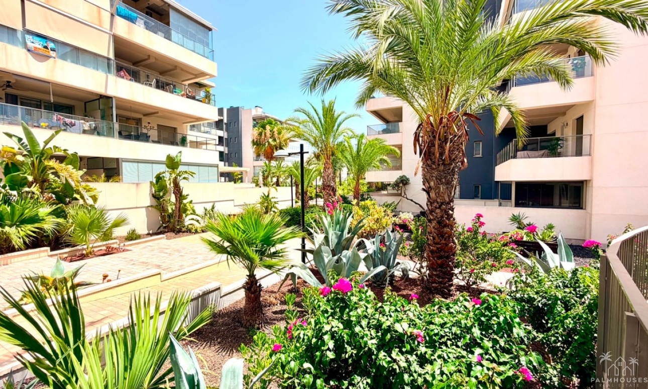 Venta - Apartment - Orihuela - La Zenia