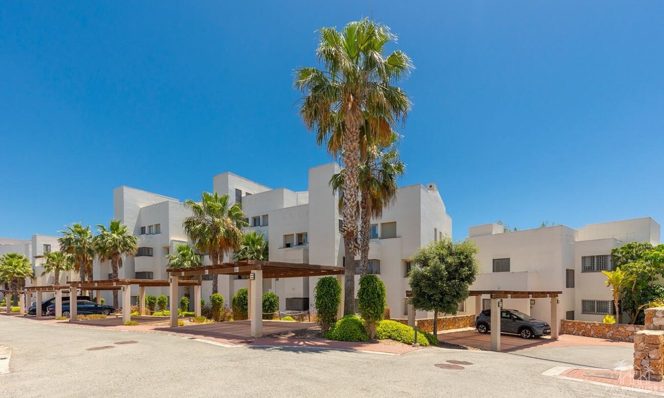 Venta - Apartment - Orihuela - Las Colinas