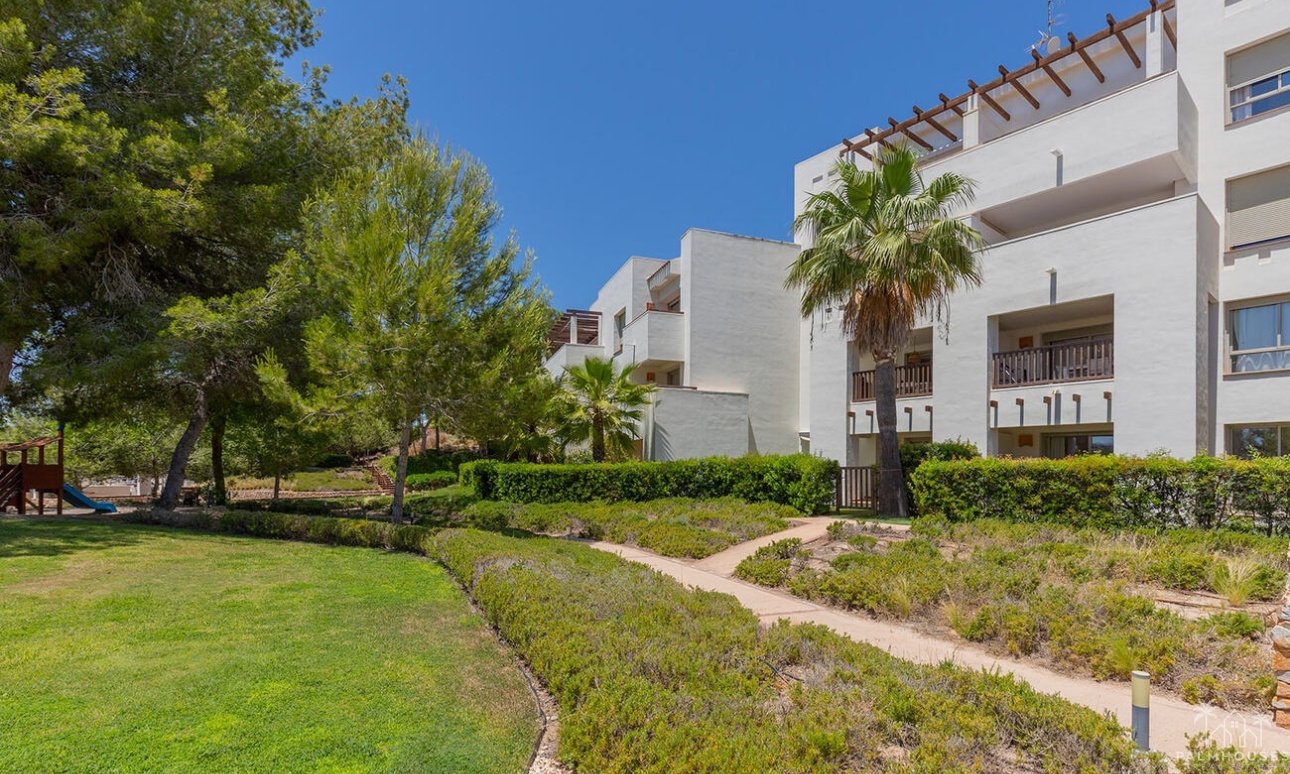Venta - Apartment - Orihuela - Las Colinas