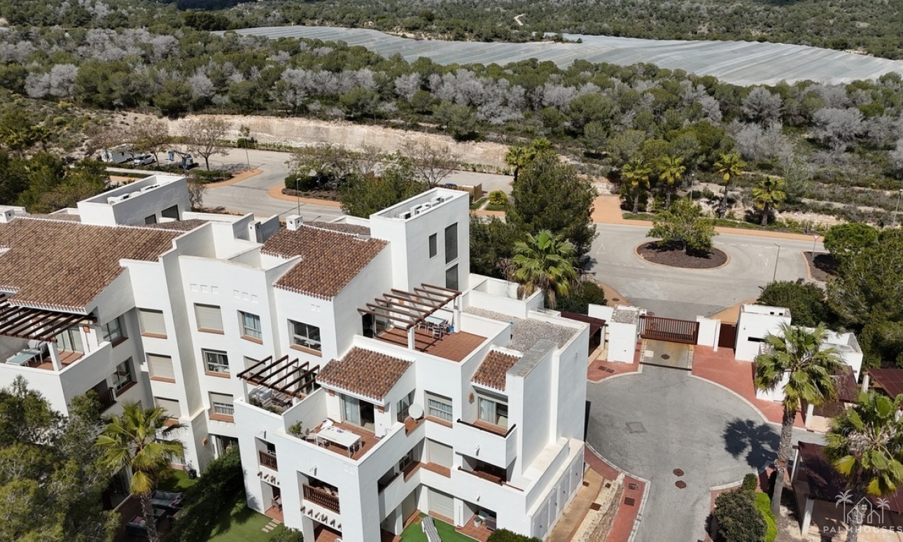 Venta - Apartment - Orihuela - Las Colinas