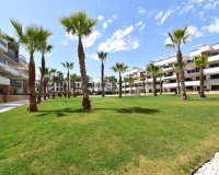 Venta - Apartment - Orihuela - Los Altos
