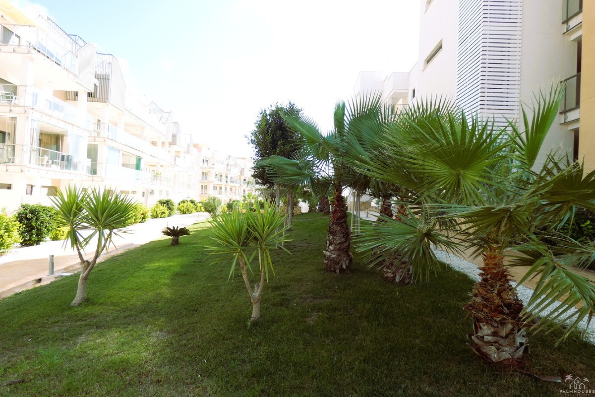 Venta - Apartment - Orihuela - Los Dolses
