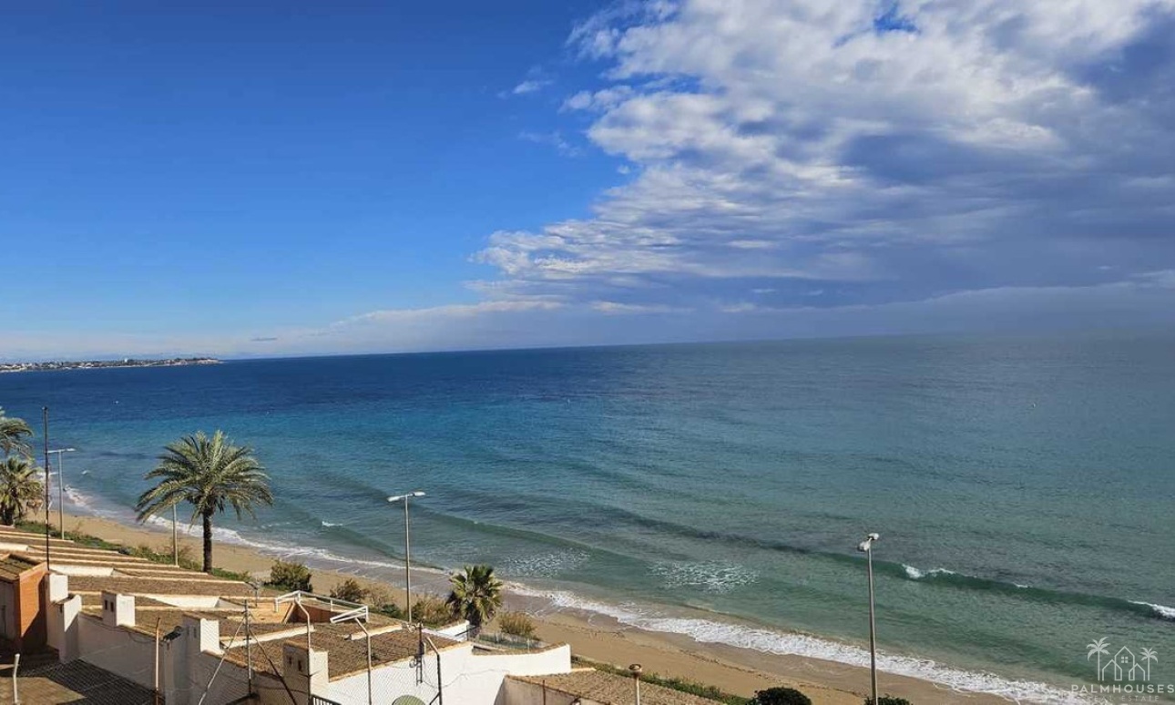 Venta - Apartment - Orihuela - Mil Palmeras
