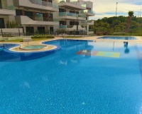 Venta - Apartment - Orihuela - Orihuela Centro