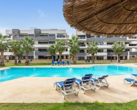 Venta - Apartment - Orihuela - Orihuela Centro