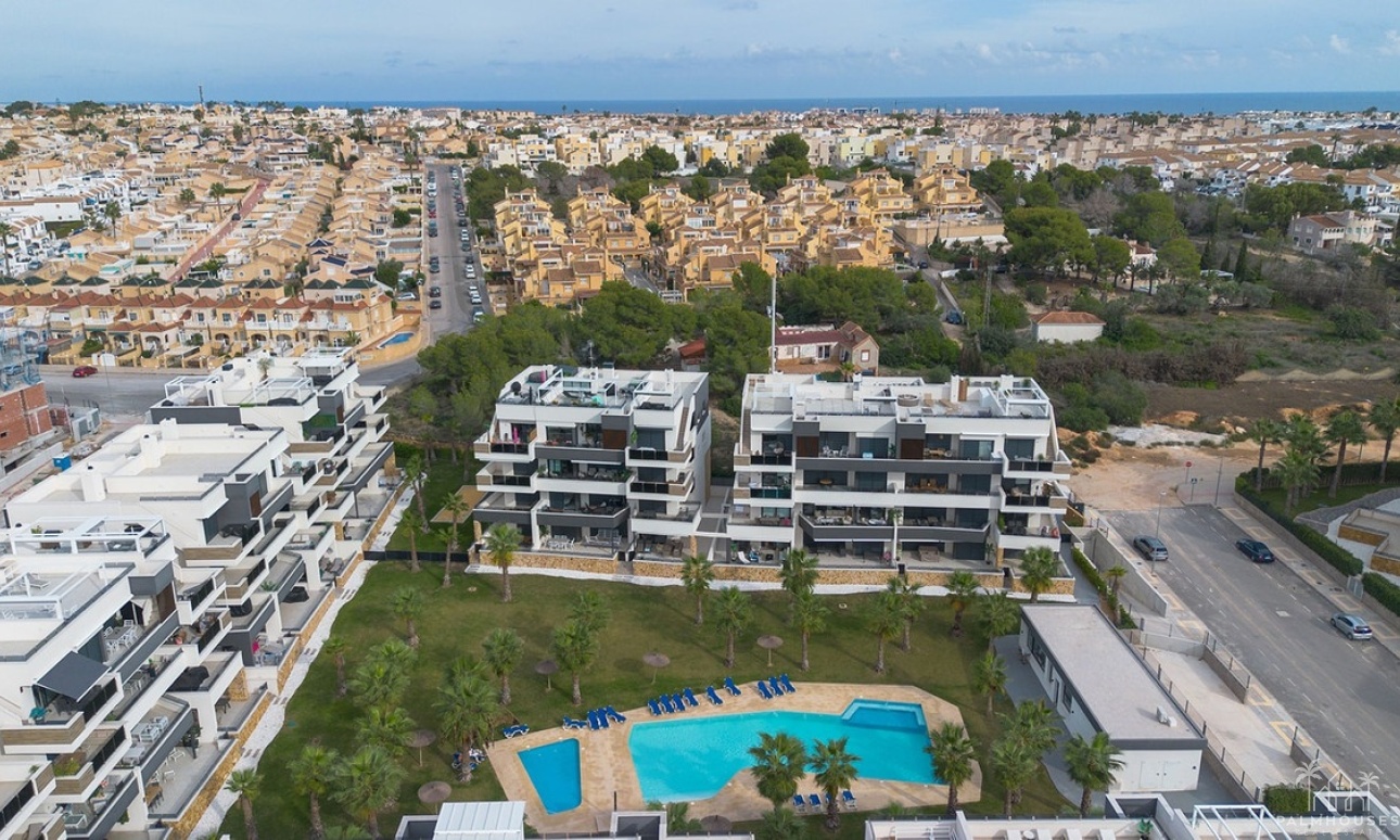 Venta - Apartment - Orihuela - Orihuela Centro