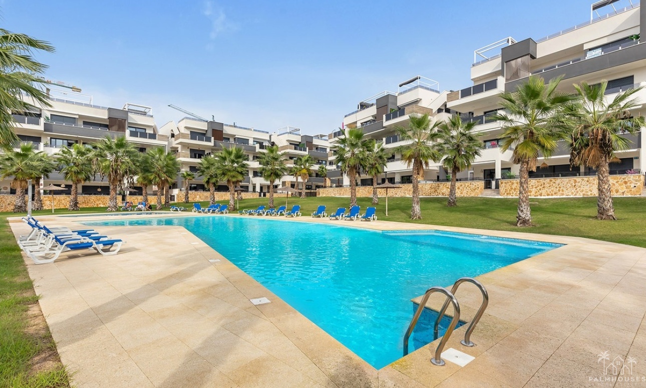 Venta - Apartment - Orihuela - Orihuela Centro
