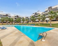 Venta - Apartment - Orihuela - Orihuela Centro