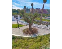 Venta - Apartment - Orihuela - Orihuela Costa