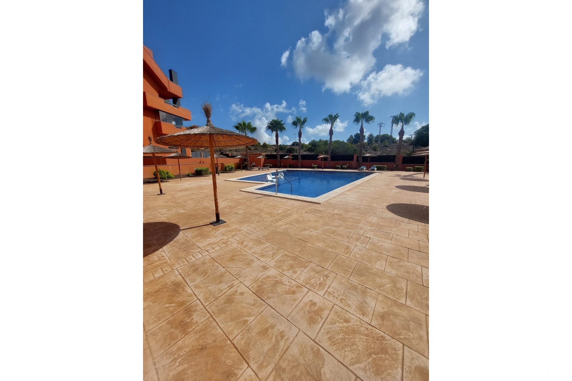 Venta - Apartment - Orihuela - Orihuela Costa