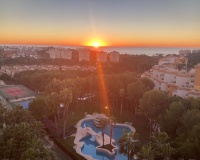 Venta - Apartment - Orihuela - Orihuela Costa