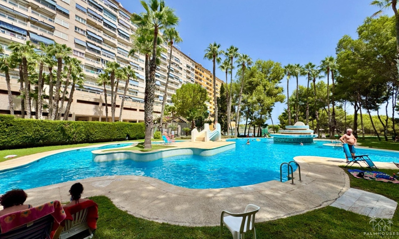 Venta - Apartment - Orihuela - Orihuela Costa
