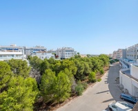 Venta - Apartment - Orihuela - Orihuela Costa
