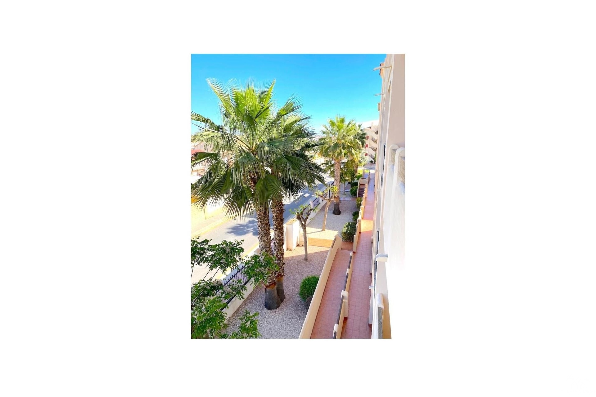 Venta - Apartment - Orihuela - Orihuela Costa
