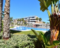 Venta - Apartment - Orihuela - Playa Flamenca