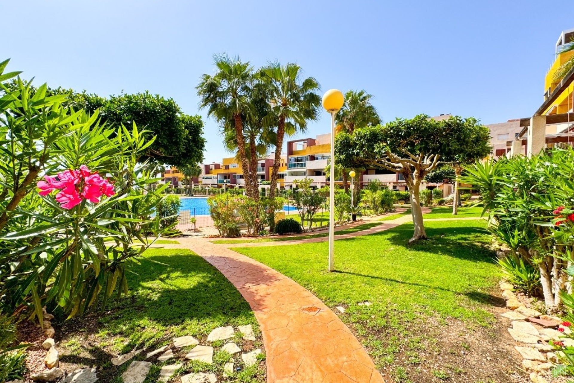 Venta - Apartment - Orihuela - Playa Flamenca