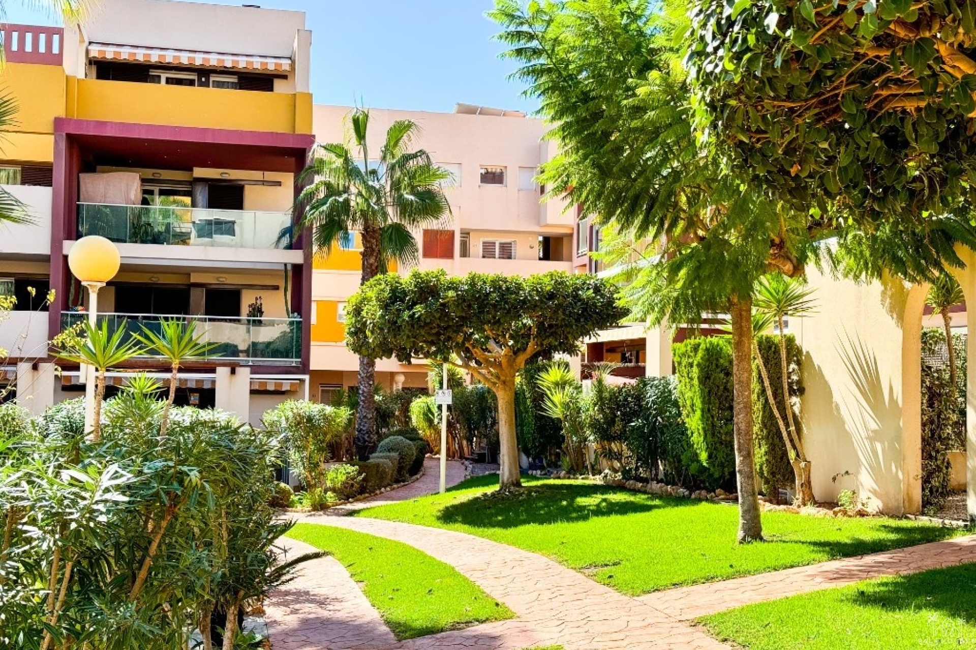 Venta - Apartment - Orihuela - Playa Flamenca