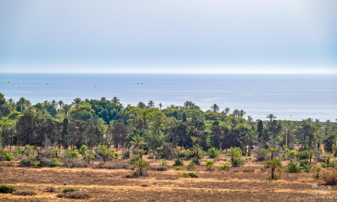 Venta - Apartment - Orihuela - Punta Prima