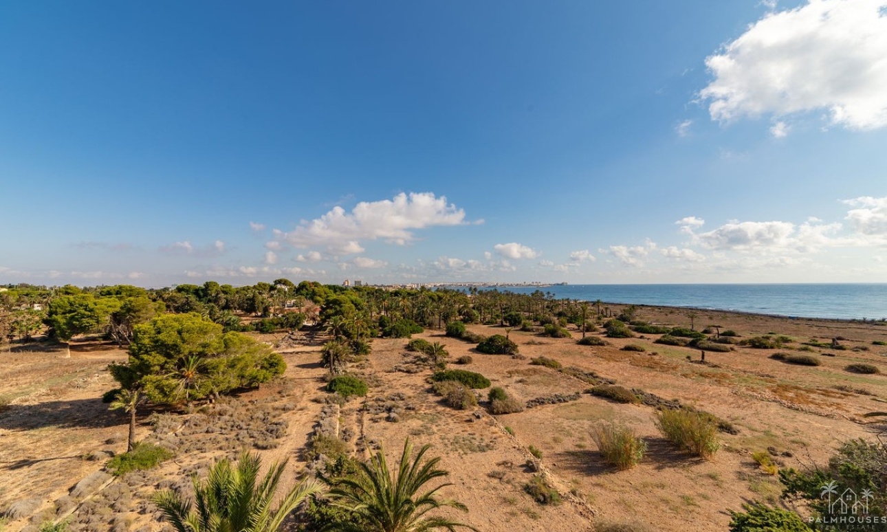 Venta - Apartment - Orihuela - Punta Prima