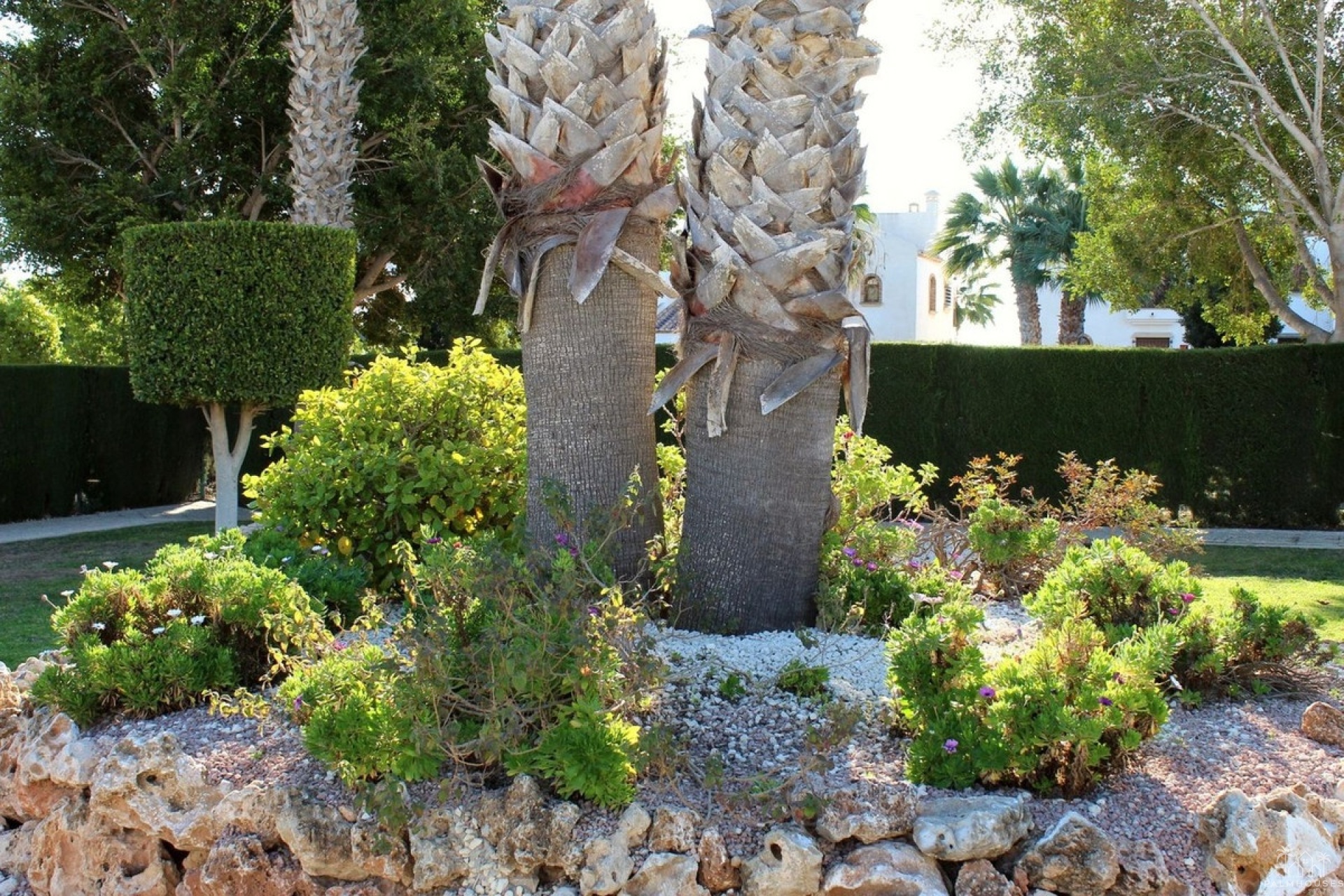 Venta - Apartment - Orihuela - Villamartin