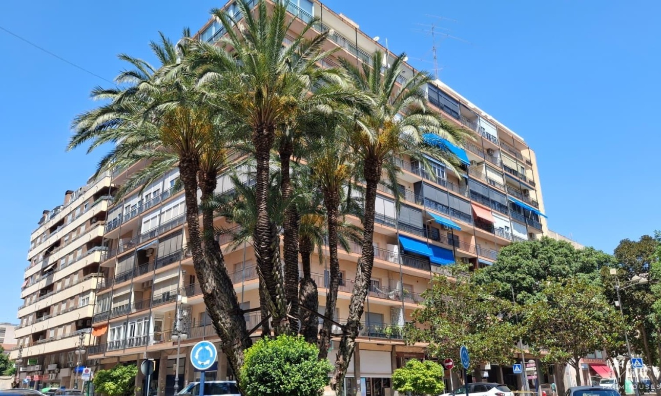 Venta - Apartment - Orihuela - Zona Centro