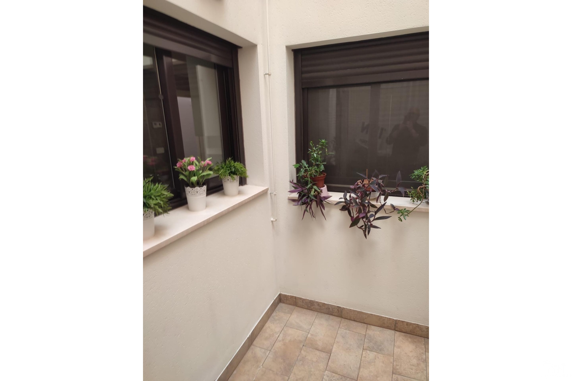 Venta - Apartment - Orihuela - Zona Centro