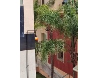 Venta - Apartment - Orihuela - Zona Centro