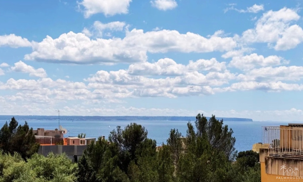 Venta - Apartment - Palma - Sant Agustí